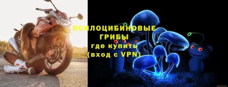 Псилоцибиновые грибы Psilocybe  ОМГ ОМГ как войти  Зеленодольск 